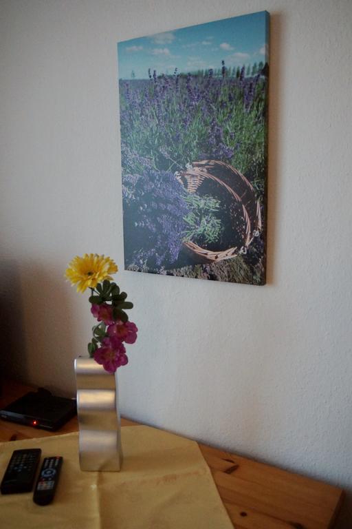 Landpension Bielatal - Raum Room photo