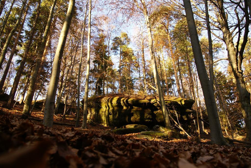 Landpension Bielatal - Raum Exterior photo